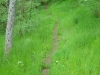 ranspach-paysage-20