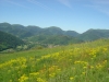 ranspach-paysage-39