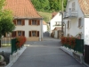 ranspach-fleuri-2